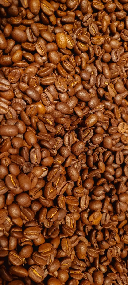 Café recién tostado, grano entero