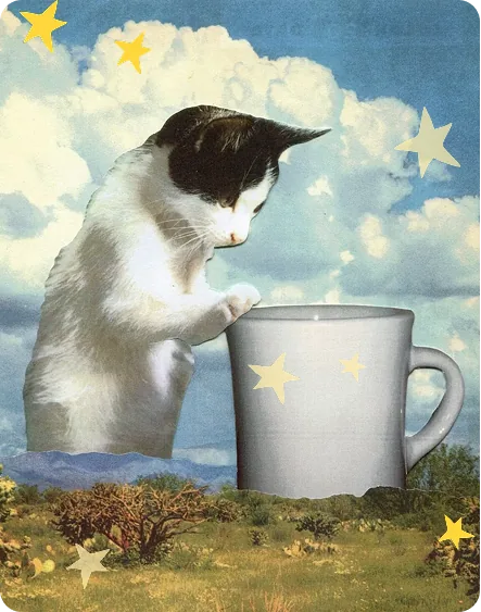 Gato asomándose a una taza de café entre estrellas